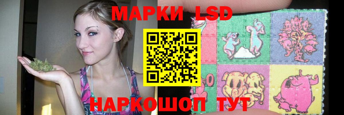 Зерноград  ЛСД экстази ecstasy  Лсд 25 экстази кислота  Вход с VPN 
