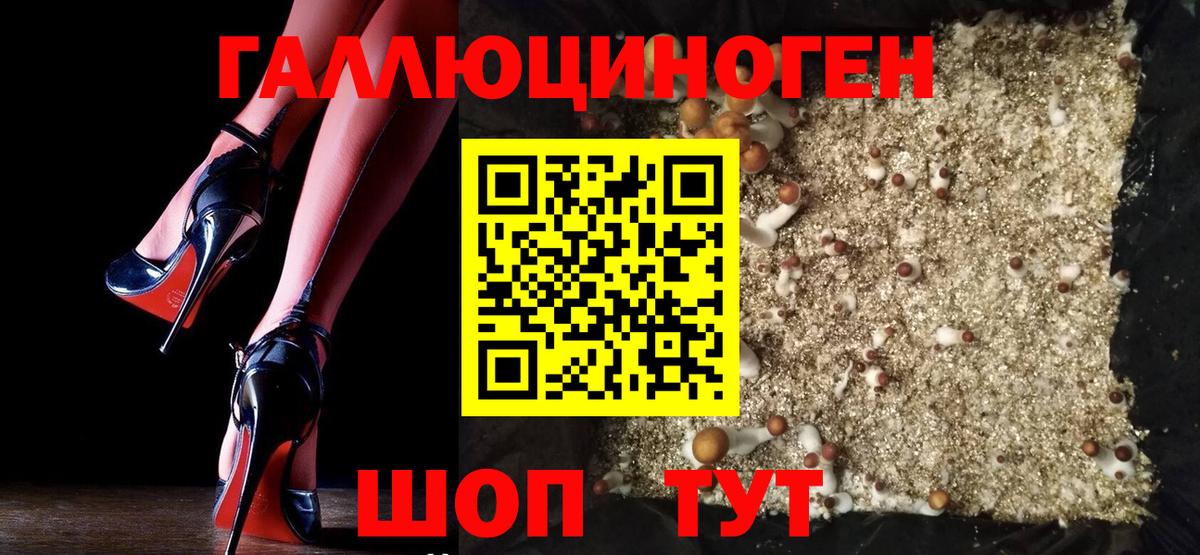 Галлюциногенные грибы Psilocybine cubensis  Галлюциногенные грибы Psilocybe  Зерноград  наркота  Вход с VPN 