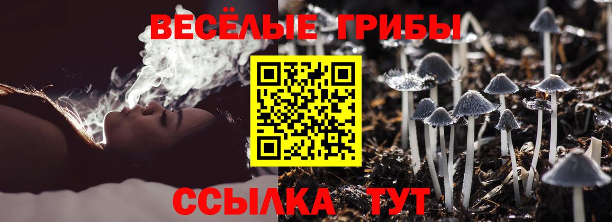 Галлюциногенные грибы мицелий Зерноград